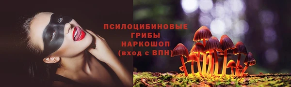 2c-b Белокуриха