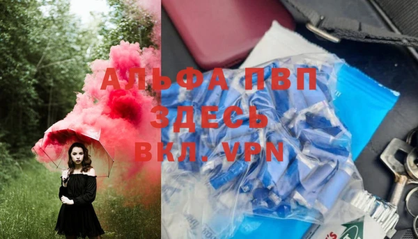 сатива Белоозёрский