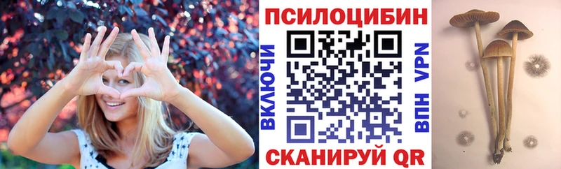 Галлюциногенные грибы Cubensis  Ярцево 